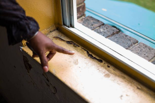 WASHINGTON, DC, UNITED STATES - SEPTEMBER 23: Lead paint chipping in window seal at Meadow Green Courts SE in Washington DC, United States on September 23, 2024. (Photo by Shedrick Pelt for The Washington Post via Getty Images)